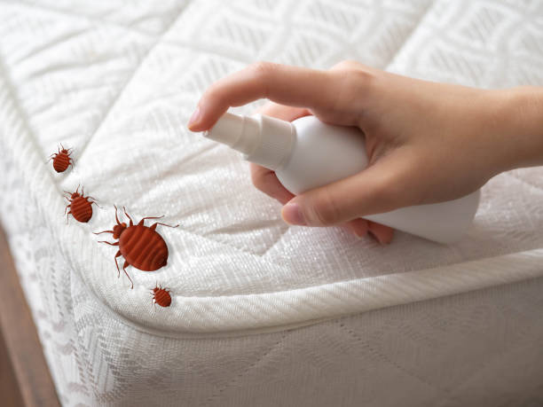 Best Bed Bug Extermination  in Winton, CA